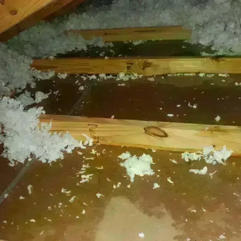 Attic Water Damage in Glencoe, FL